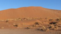 Namib Naukluft Nationalpark (9) &ndash; &copy; Annika Lembke (Eberhardt TRAVEL)