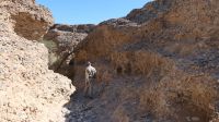 Sesriem Canyon (4) &ndash; &copy; Annika Lembke (Eberhardt TRAVEL)