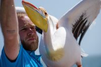 Guide Mirko mit Pelikan Lady Gaga &ndash; &copy; Martin Gruhle (Eberhardt TRAVEL)