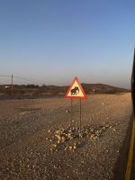 Achtung Elefanten! &ndash; &copy; Martin Gruhle (Eberhardt TRAVEL)