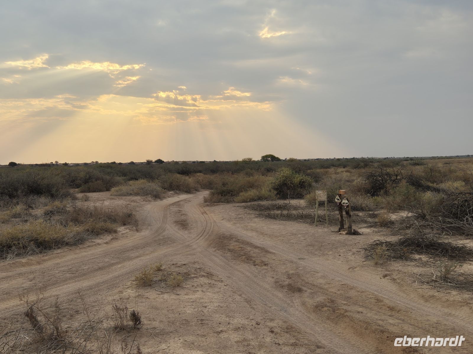 Tag 3 - Stimmung in der Kalahari &ndash; &copy; Jana Wessendorf (Eberhardt TRAVEL)