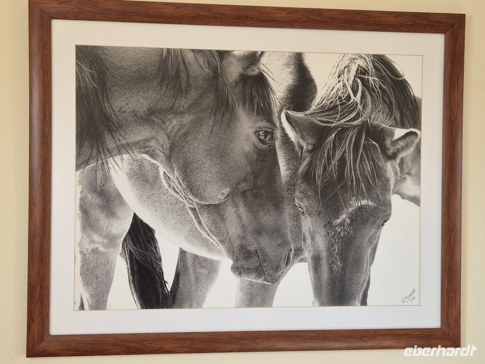 Tag 7 - Wildpferde der Namib als Symbol unserer Lodge I &ndash; &copy; Jana Wessendorf (Eberhardt TRAVEL)