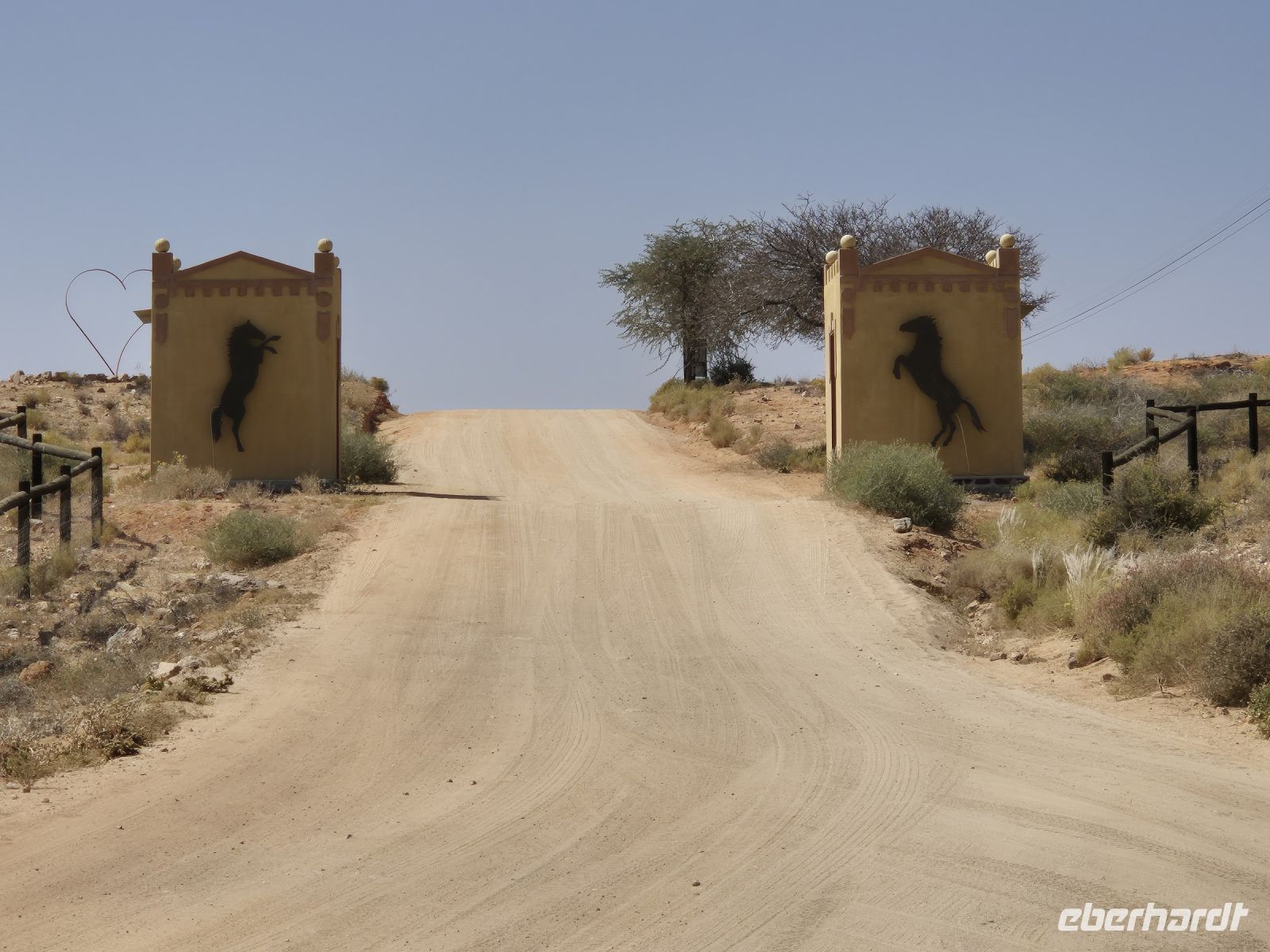 Tag 7 - Wildpferde der Namib als Symbol unserer Lodge II &ndash; &copy; Jana Wessendorf (Eberhardt TRAVEL)