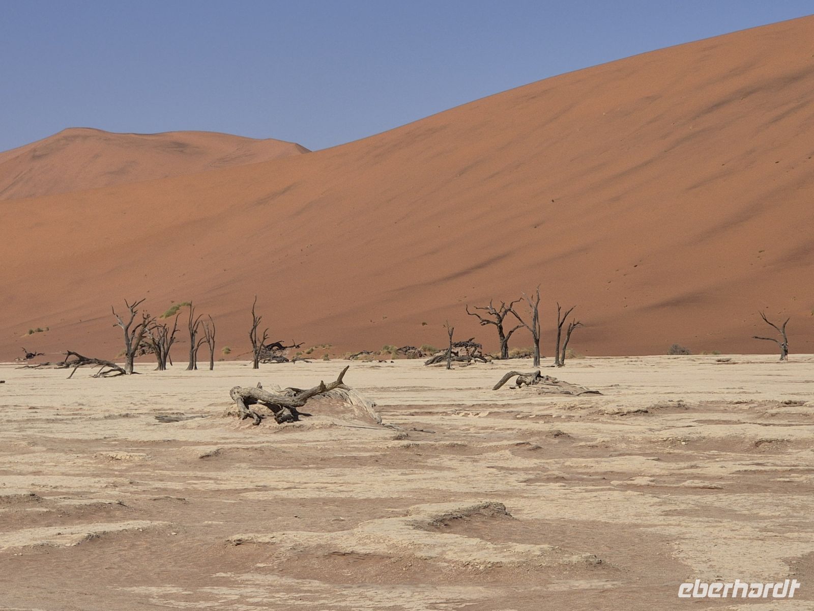 Tag 8 - Sossusveli - Dead Vlei I &ndash; &copy; Jana Wessendorf (Eberhardt TRAVEL)