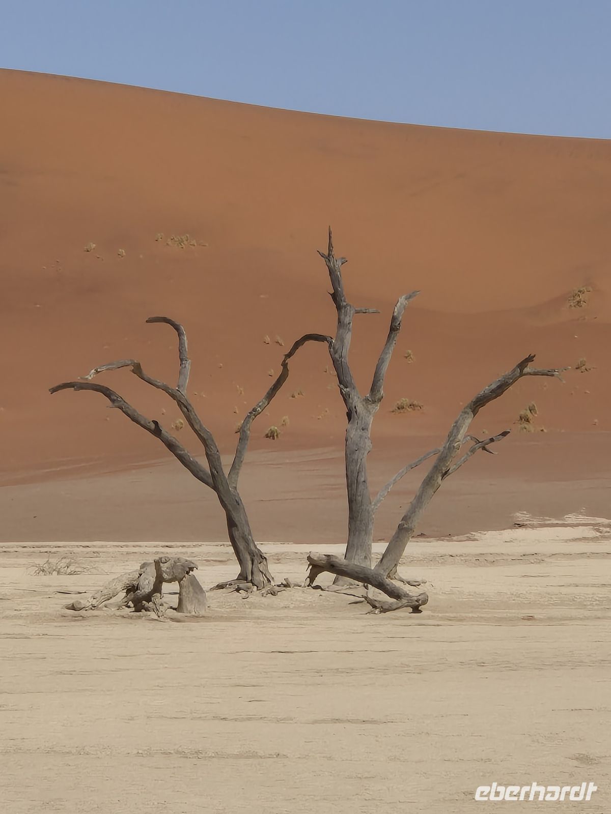Tag 8 - Sossusveli - Dead Vlei III &ndash; &copy; Jana Wessendorf (Eberhardt TRAVEL)