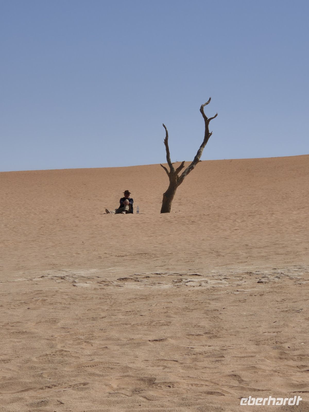 Tag 8 - Sossusveli - Dead Vlei IV &ndash; &copy; Jana Wessendorf (Eberhardt TRAVEL)