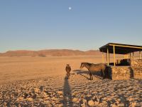 Tag 6 - Wildpferde bei Aus - Sonnenuntergang II &ndash; &copy; Jana Wessendorf (Eberhardt TRAVEL)