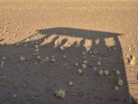 Tag 8 - Sonnenuntergangswüstenfahrtschatten (1) &ndash; &copy; Jana Wessendorf (Eberhardt TRAVEL)