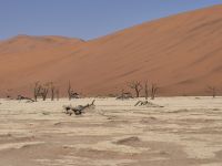 Tag 8 - Sossusveli - Dead Vlei I &ndash; &copy; Jana Wessendorf (Eberhardt TRAVEL)