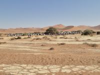 Tag 8 - Sossusvlei - Wüstenparkplatz &ndash; &copy; Jana Wessendorf (Eberhardt TRAVEL)