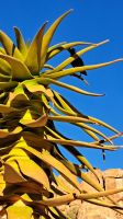 ein gesprächiger Besucher &ndash; &copy; Sylvia Führ (Eberhardt TRAVEL)