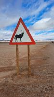 Oryx crossing! &ndash; &copy; Sylvia Führ (Eberhardt TRAVEL)