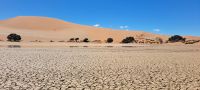 Sossusvlei mit Wasser &ndash; &copy; Sylvia Führ (Eberhardt TRAVEL)