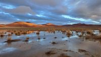 unglaublich schönes Licht am Morgen in den Dünen &ndash; &copy; Sylvia Führ (Eberhardt TRAVEL)