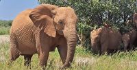 wunderschön und impulsant! &ndash; &copy; Sylvia Führ (Eberhardt TRAVEL)