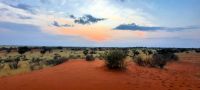 Pirschfahrt in der Kalahari - Sundowner Time &ndash; &copy; Annett Müller (Eberhardt TRAVEL)