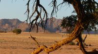 Sossusvlei Lodge in Sesriem &ndash; &copy; Annett Müller (Eberhardt TRAVEL)