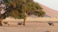 Sossusvlei Lodge in Sesriem &ndash; &copy; Annett Müller (Eberhardt TRAVEL)