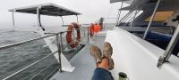 Bootsfahrt in der Lagune Walvis Bay &ndash; &copy; Annett Müller (Eberhardt TRAVEL)