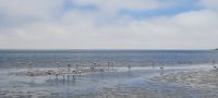 Walvis Bay - Flamingo Lagoon &ndash; &copy; Annett Müller (Eberhardt TRAVEL)