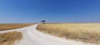 Etosha Nationalpark &ndash; &copy; Annett Müller (Eberhardt TRAVEL)