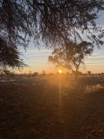 Kalahari Anib Lodge Sonnenuntergang &ndash; &copy; Anne Fohlert (Eberhardt TRAVEL)