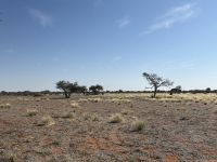 Kalahari Anib Lodge: Ausflug über das Gelände &ndash; &copy; Anne Fohlert (Eberhardt TRAVEL)