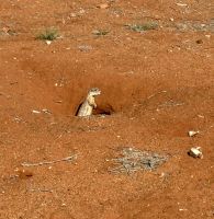 Kalahari Anib Lodge: Ausflug über das Gelände &ndash; &copy; Anne Fohlert (Eberhardt TRAVEL)