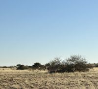 Pirschfahrt über das Gelände der Kalahari Lodge &ndash; &copy; Anne Fohlert (Eberhardt TRAVEL)