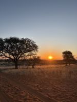 Pirschfahrt über das Gelände der Kalahari Lodge &ndash; &copy; Anne Fohlert (Eberhardt TRAVEL)