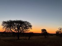 Pirschfahrt über das Gelände der Kalahari Lodge &ndash; &copy; Anne Fohlert (Eberhardt TRAVEL)