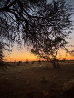 Pirschfahrt über das Gelände der Kalahari Lodge &ndash; &copy; Anne Fohlert (Eberhardt TRAVEL)