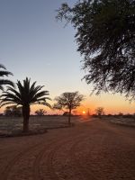 Pirschfahrt über das Gelände der Kalahari Lodge &ndash; &copy; Anne Fohlert (Eberhardt TRAVEL)