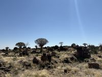 Köscherwald &ndash; &copy; Anne Fohlert (Eberhardt TRAVEL)