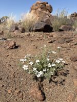 Giants Playground &ndash; &copy; Anne Fohlert (Eberhardt TRAVEL)