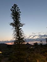 Guten Morgen Canyon Village &ndash; &copy; Anne Fohlert (Eberhardt TRAVEL)