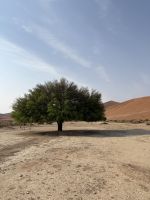 auf dem Weg zum Big Daddy &ndash; &copy; Anne Fohlert (Eberhardt TRAVEL)