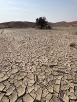 Sossusvlei &ndash; &copy; Anne Fohlert (Eberhardt TRAVEL)