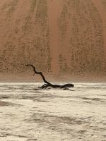Dead Vlei &ndash; &copy; Anne Fohlert (Eberhardt TRAVEL)