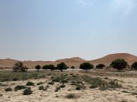 Dead Vlei &ndash; &copy; Anne Fohlert (Eberhardt TRAVEL)