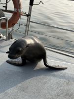 Walvis Bay &ndash; &copy; Anne Fohlert (Eberhardt TRAVEL)