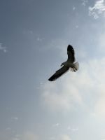 Walvis Bay &ndash; &copy; Anne Fohlert (Eberhardt TRAVEL)