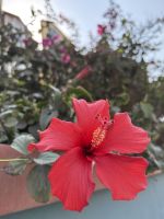 Bummel durch Swakopmund &ndash; &copy; Anne Fohlert (Eberhardt TRAVEL)