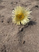 Bummel durch Swakopmund &ndash; &copy; Anne Fohlert (Eberhardt TRAVEL)
