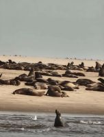 Walvis Bay &ndash; &copy; Anne Fohlert (Eberhardt TRAVEL)