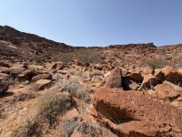 Twyfelfontein Felsenmalerein &ndash; &copy; Anne Fohlert (Eberhardt TRAVEL)