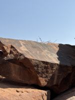 Twyfelfontein Felsenmalerein &ndash; &copy; Anne Fohlert (Eberhardt TRAVEL)
