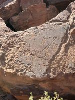 Twyfelfontein Felsenmalerein &ndash; &copy; Anne Fohlert (Eberhardt TRAVEL)