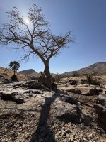 Epupa Wasserfälle &ndash; &copy; Anne Fohlert (Eberhardt TRAVEL)