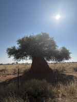 Etosha Nationalpark